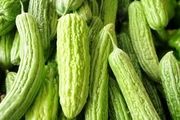 خیار چنبر تلخ چه خواصی دارد؟