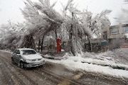 برف و کولاک ۱۲ استان کشور را در نوردید