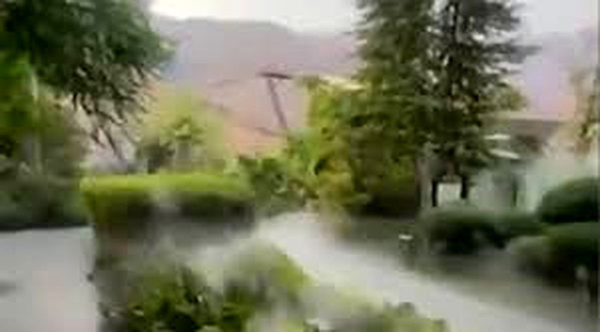 باغ‌های معلق در زعفرانیه/فیلم