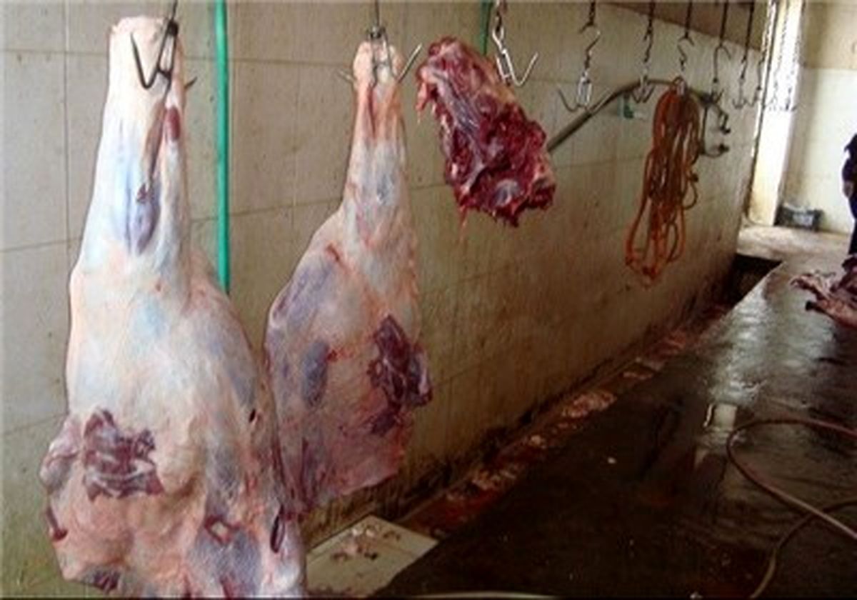 ذبح غیرشرعی حیوانات با الکتریسیته و گاز Co