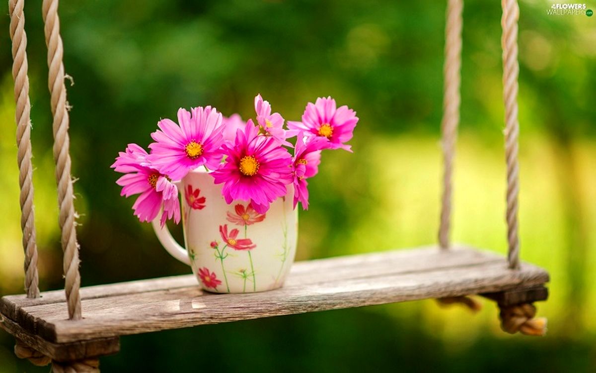 چرا آدم ها بیشتر جذب دنیا می شوند تا آخرت؟