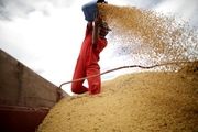  احتکار مواد غذایی در چین
