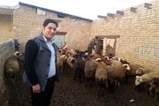 اقتصادمقاومتی راهگشای مشکلات اقتصادی کشور