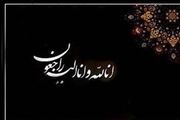 ملی‌پوش سابق ایران درگذشت