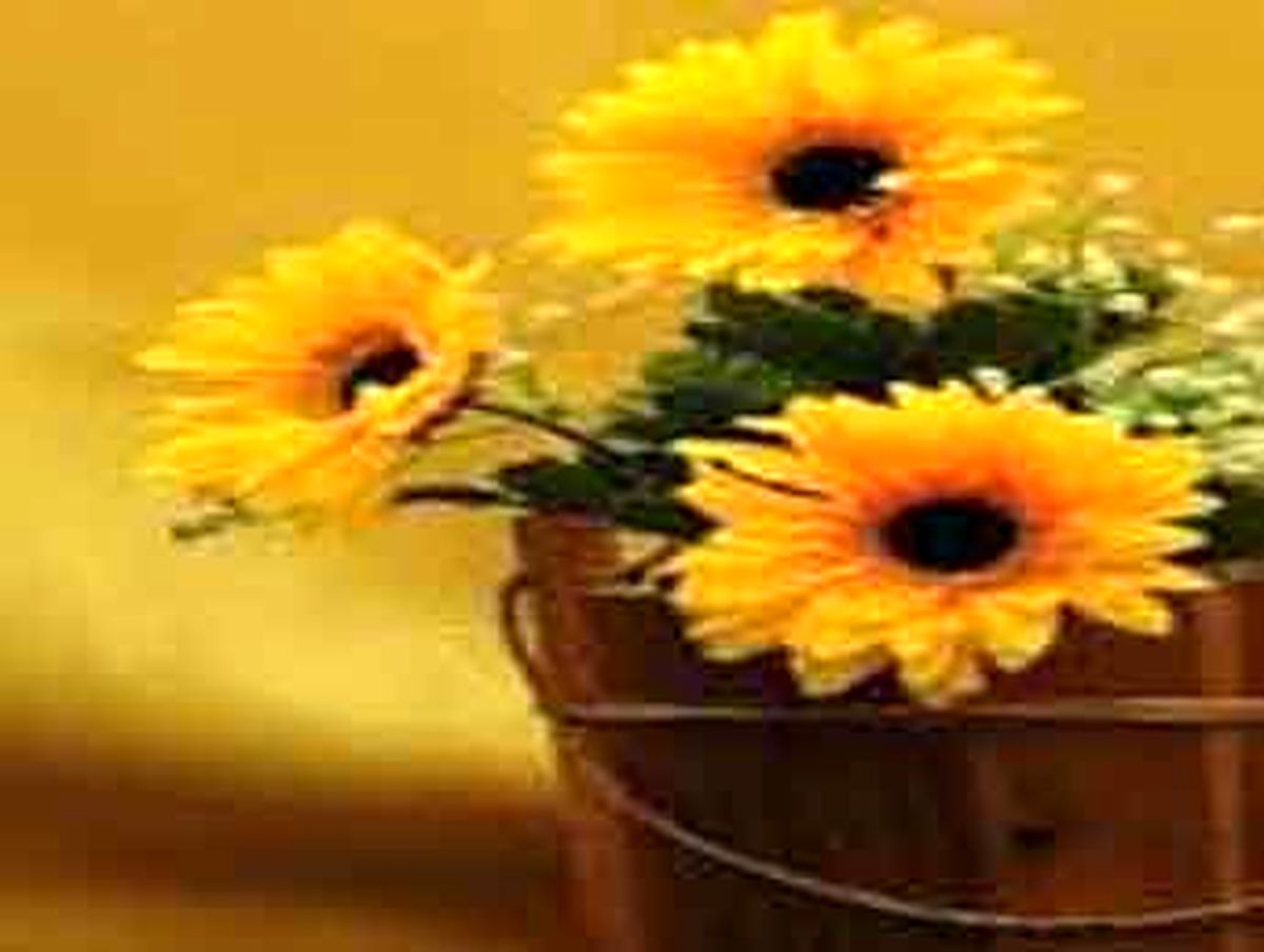 چه وقت خوش اخلاق می شوید؟