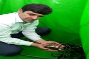 30 هزار بچه ماهی در سد شهید یعقوبی رشتخوار رهاسازی شد