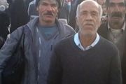 زائری که پس ازدیدارحرم حسینی پر کشید