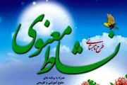 آموزش قصه‌های قرآنی به زبان انگلیسی در طرح نشاط معنوی
