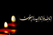 شهردار تهران درگذشت آیت الله رضی شیرازی را تسلیت گفت