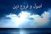 فروع دین را بر چه مسائلی اطلاق می کنند؟