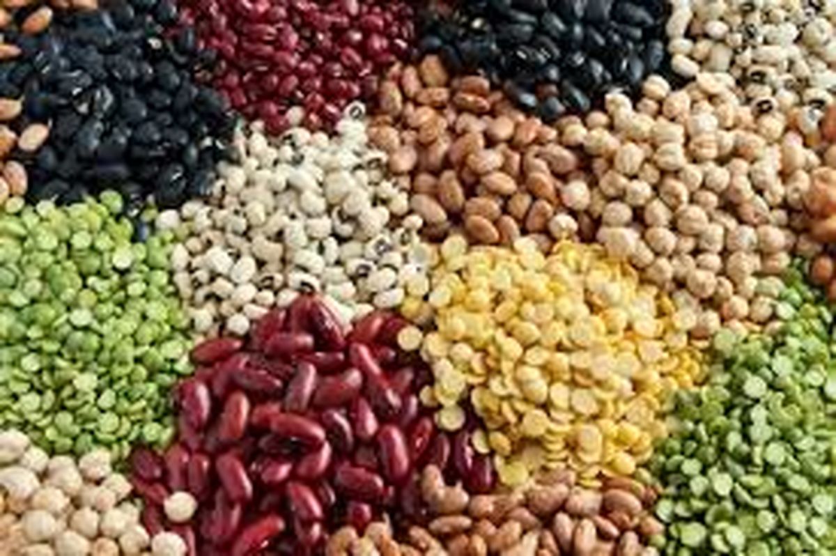 قیمت انواع حبوبات ۲۳ اردیبهشت ۱۴۰۳+ جدول 

