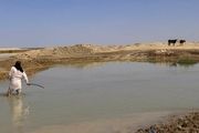 حال خوب «هامون»/ عکس