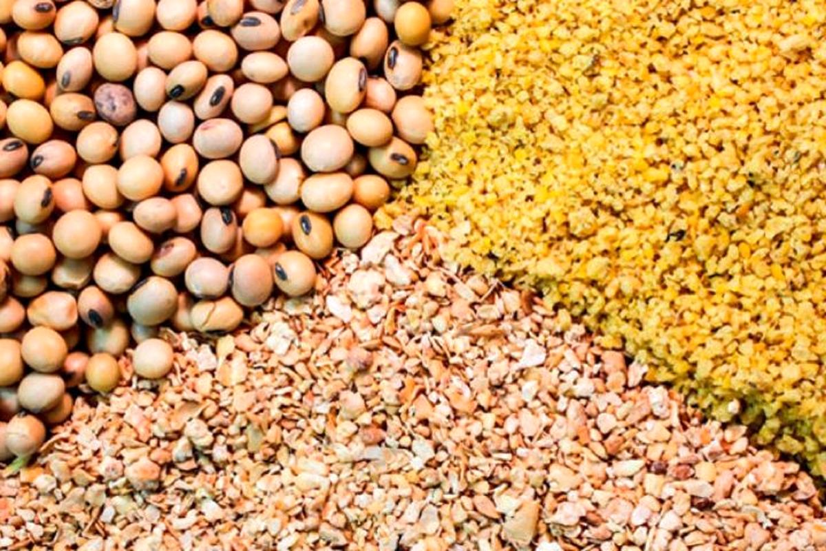 دلایل تغییر قیمت نهاده‌های وارداتی