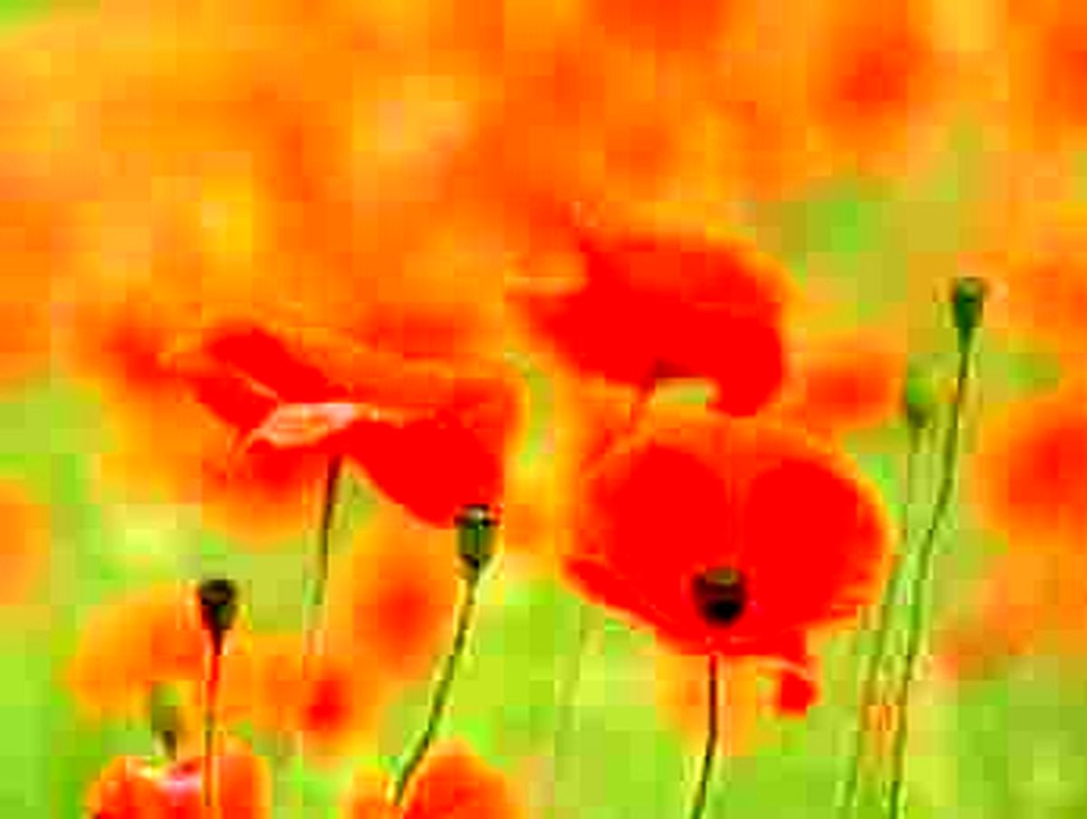 گریه زمین برای فوت این افراد!
