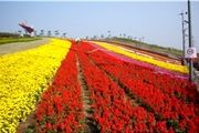 چین برای مبارزه با آلودگی هوا چه می کند؟