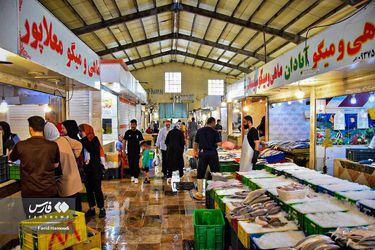 بازارماهی فروشان آبادان/گزارش تصویری