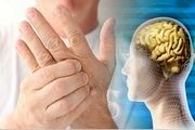 پروبیوتیک بخورید تا MS نگیرید