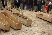 دستگیری 2 داعشی عامل کشتار قبیله «البونمر» عراق