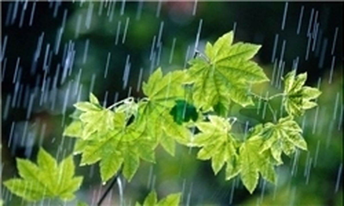 بارندگی‌ها و خنکی هوا در نقاط مختلف کشور