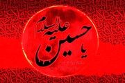 جدید ترین اشعار فاطمه معصومی برای  ایام تاسوعا و عاشورای حسینی
