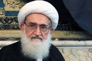 آیت الله نوری همدانی: دشمن میخواهد به هویت دینی قم خدشه وارد کند