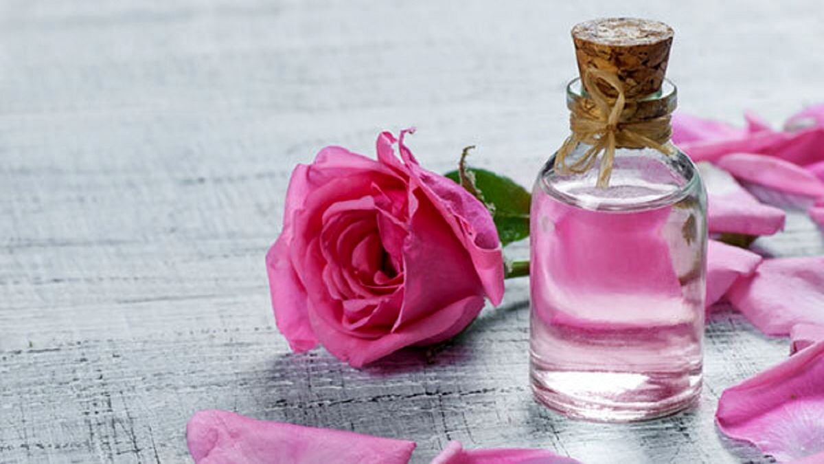 قیمت گلاب چقدر است؟

