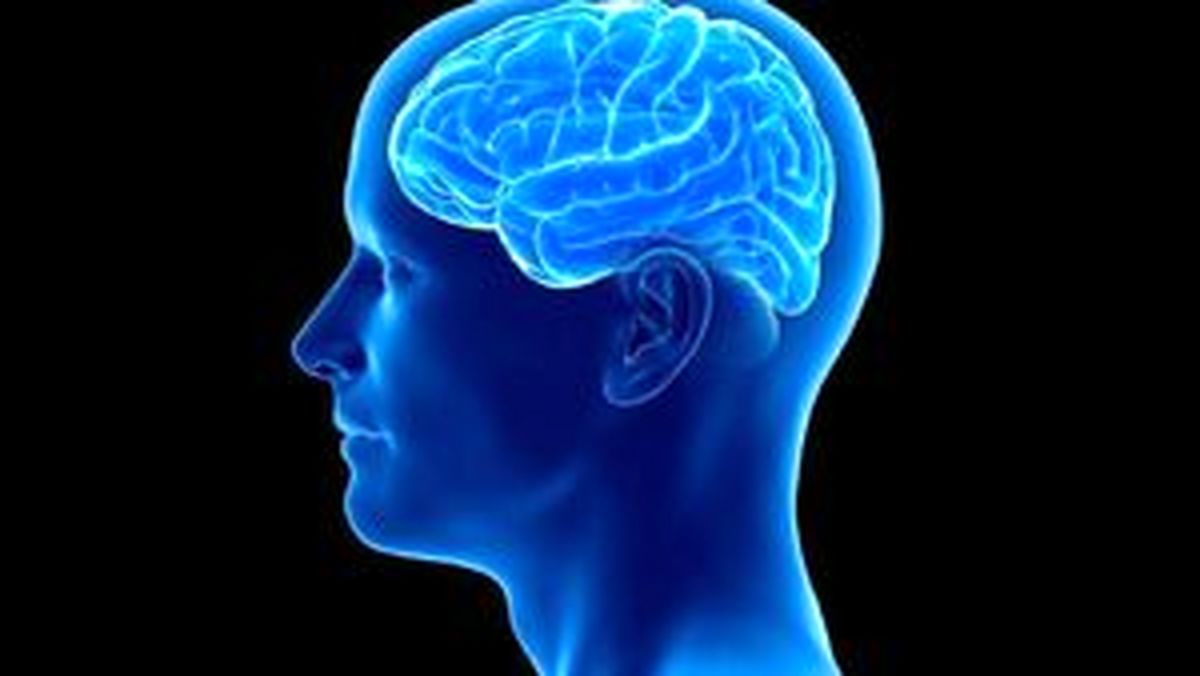 یک تحقیق جالب درباره تاثیر انگور روی خستگی ذهنی