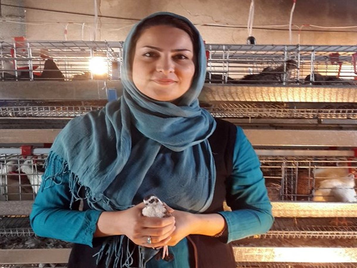 سند هزار متری برای تایید ۱۰هزار بلدرچین