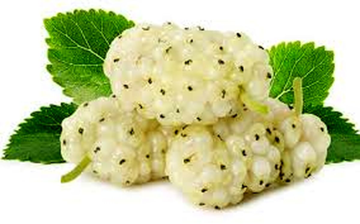 میوه تابستانی که با خوردن آن سکته نمی کنید