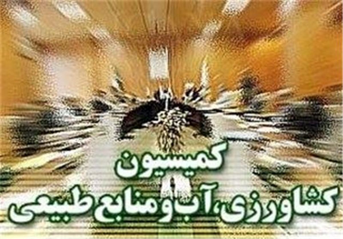 بررسی دلایل افزایش قیمت گوشت، مرغ و تخم مرغ در کمیسیون کشاورزی