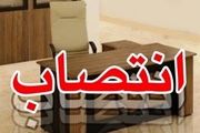 زلزله مدیریتی در سازمان منطقه آزاد قشم با تودیع و معارفه دسته جمعی