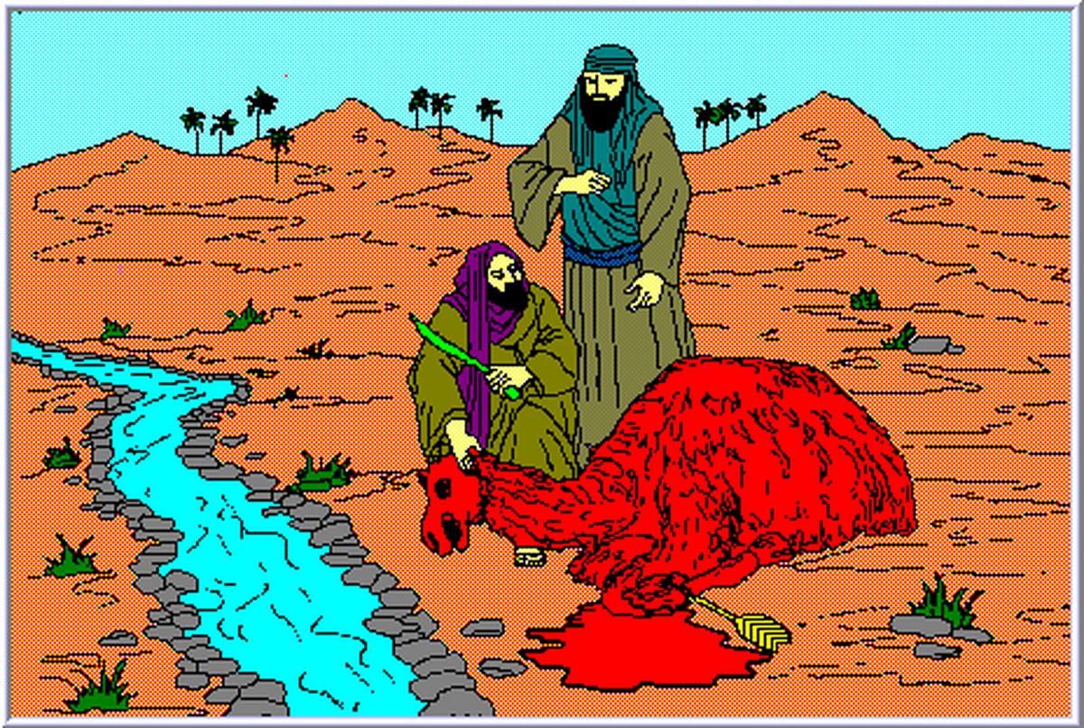 ماجرای عجیب شتر سرخی که از دل سنگ پدید آمد
