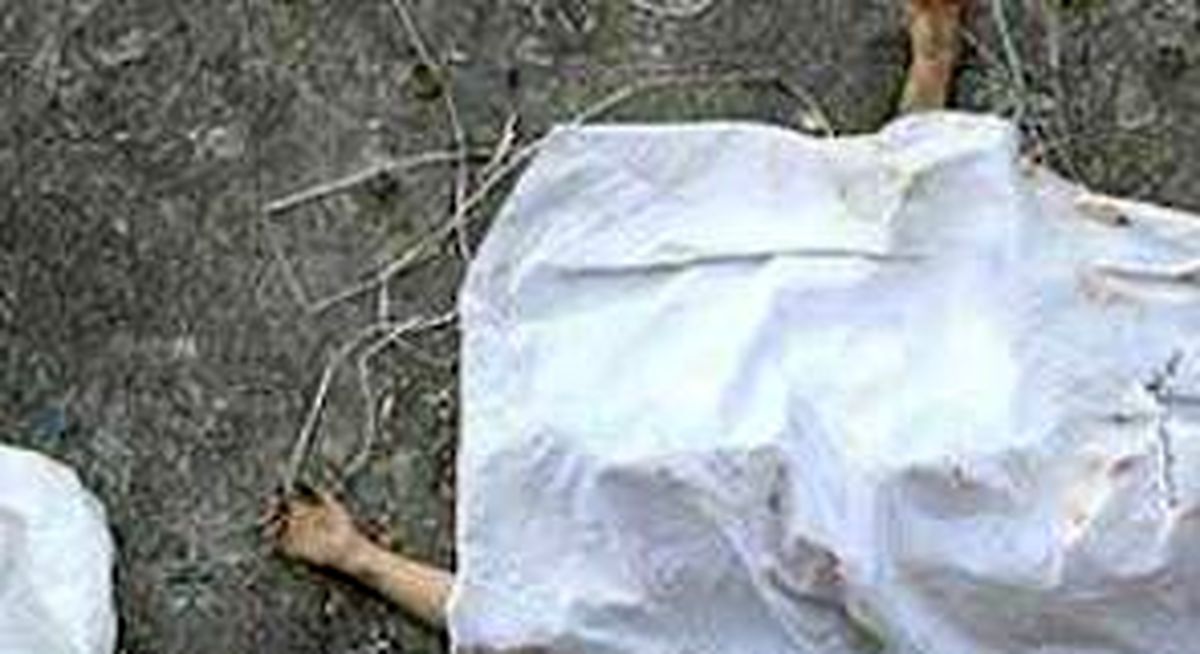 
کشف جسد جوان گلستانی در جنگل نوکنده
