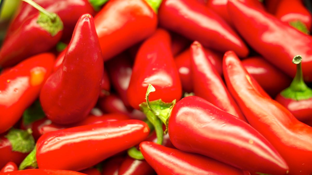 خروج فلفل قرمز ۳ سانتی از ریه زن !