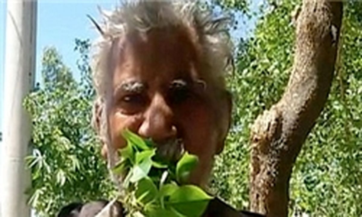 مردی که فقط شاخه و برگ درختان را می خورد!+ عکس