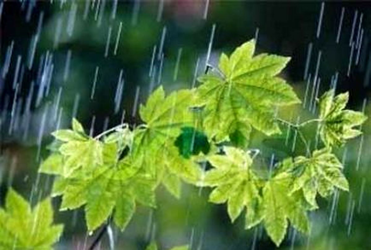 پیش بینی آب و هوای کشور