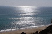 آب خلیج‌فارس اسیدی‌ شده است !