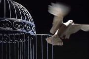 سخنانی تکان‎دهنده که جان مرد پرهیزکار را گرفت