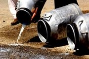 حل شدن مشکل دامداران به قیمت مفت خری!