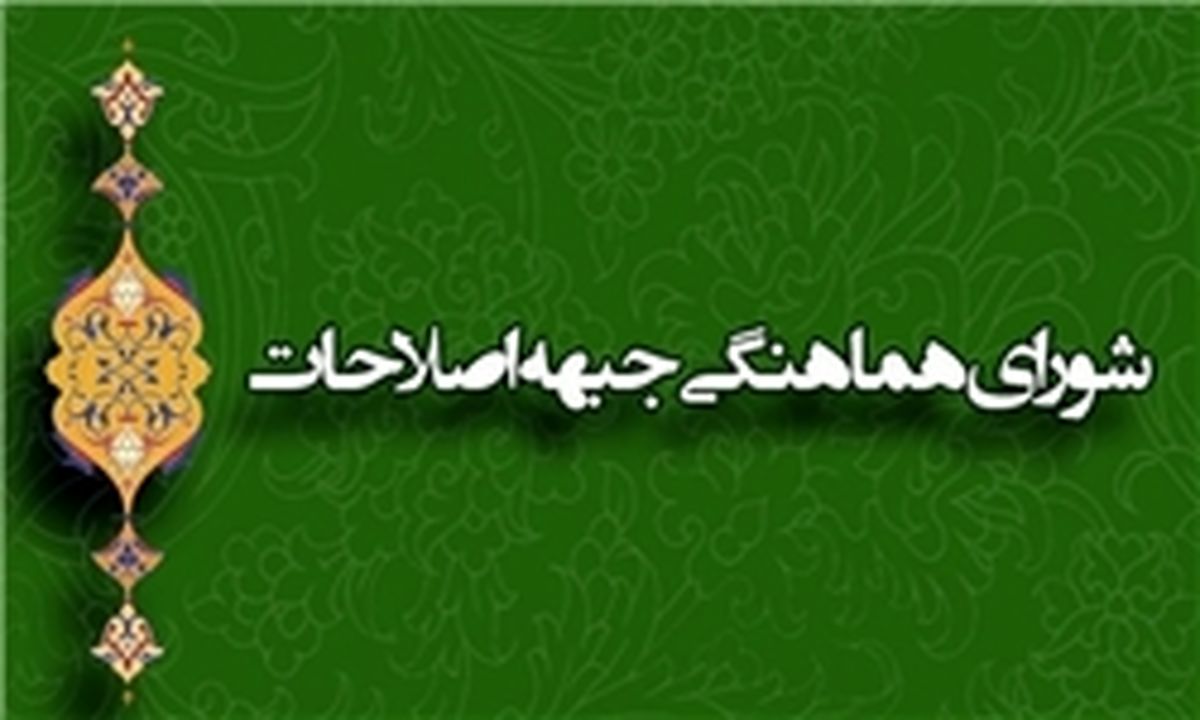حبیبی: ما طبق برنامه‌ به شورای سیاستگذاری ورود نکرده‌ایم