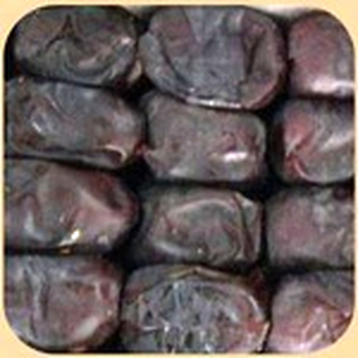 صادرات خرما متوقف شد