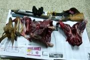 کشف لاشه یک راس میش وحشی و دستگیری 2 شکارچی غیرمجاز درقاین+تصاویر