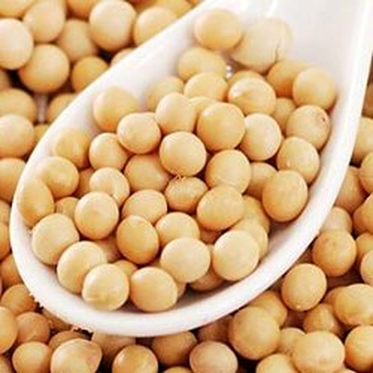 برای درمان سرطان سینه سویا بخورید