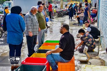 بازارماهی فروشان آبادان/گزارش تصویری