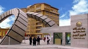 جایگزین پوستی به روش چاپ زیستی تهیه شد
