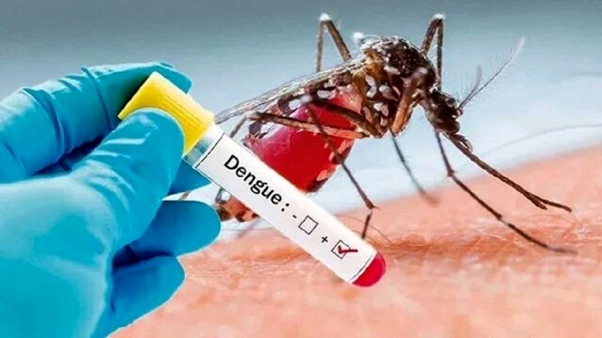 
خطر ابتلا به تب دنگی در این گروه‌های حساس بیشتر است