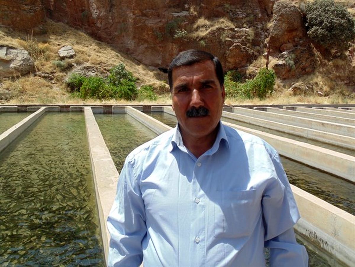 تولید سالانه 40 تن ماهی قزل آلا توسط یک سیروانی+تصاویر