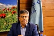 کشف محموله اسلحه شکاری غیرمجاز در کرج