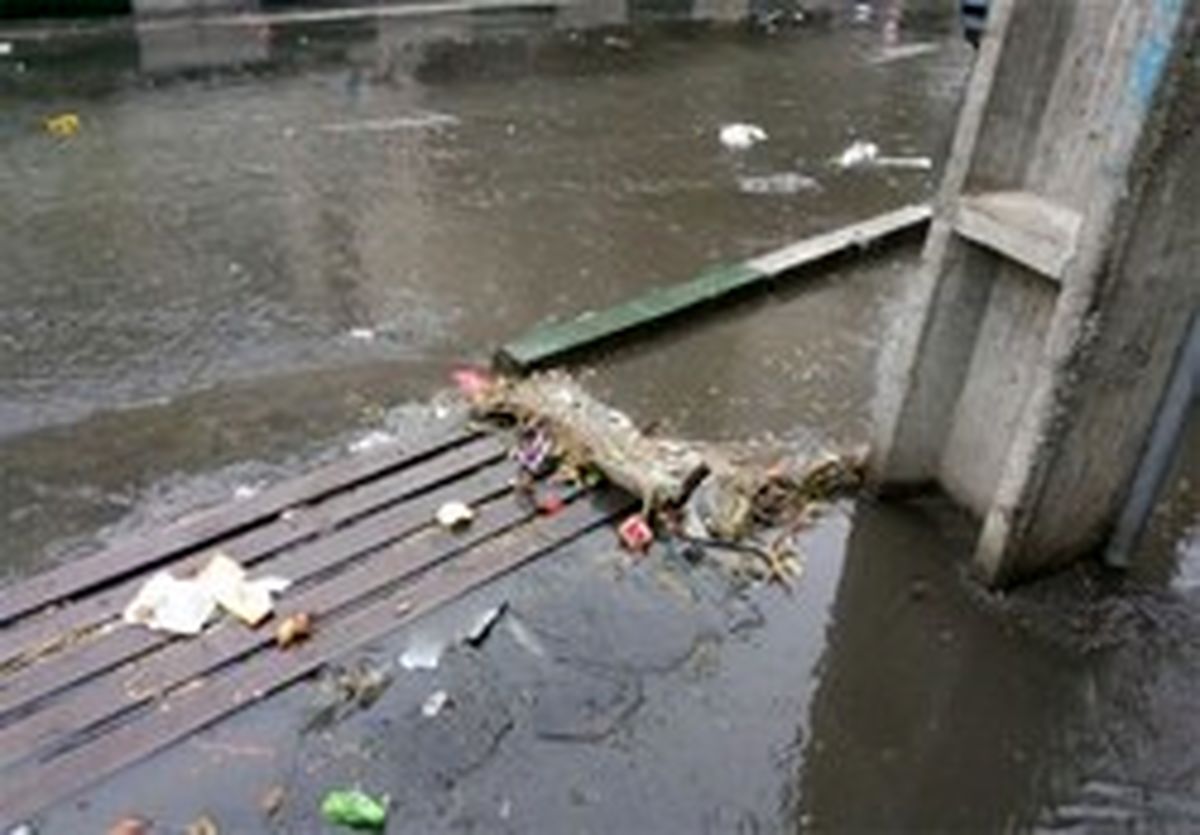 کنترل و لایروبی کانال‌ها و مسیر‌های آب به صورت مستمر
