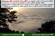 جنگل قطری هم رنگ ابر هم نوای باران+تصاویر